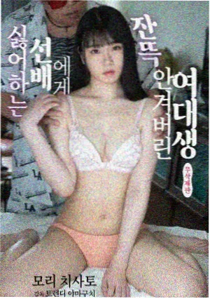 宫墙柳 古装宫斗电视剧